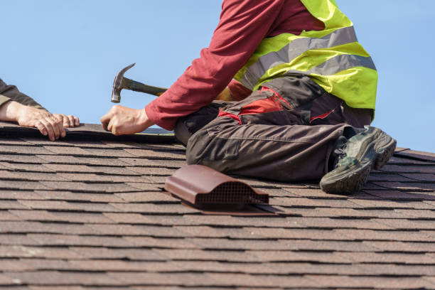 Best Roof Gutter Cleaning  in Saco, ME